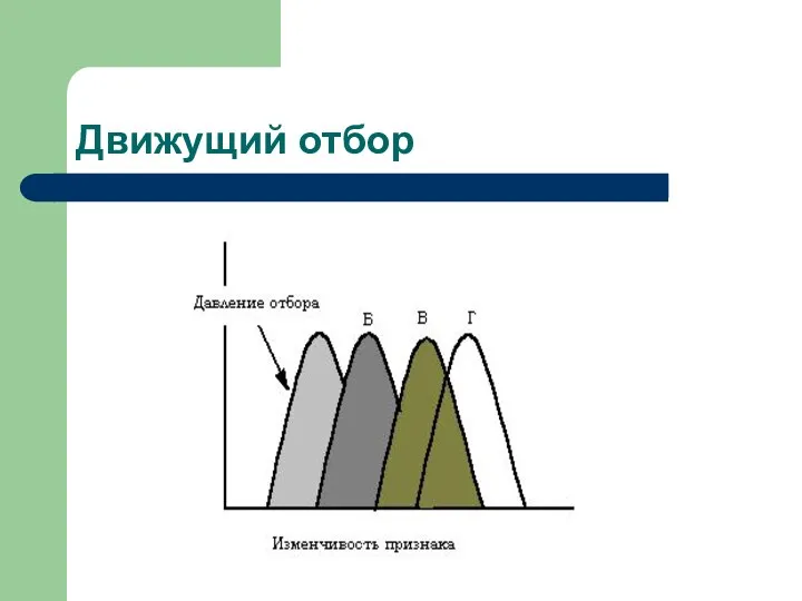 Движущий отбор