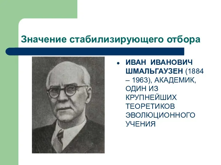 Значение стабилизирующего отбора ИВАН ИВАНОВИЧ ШМАЛЬГАУЗЕН (1884 – 1963), АКАДЕМИК, ОДИН ИЗ КРУПНЕЙШИХ ТЕОРЕТИКОВ ЭВОЛЮЦИОННОГО УЧЕНИЯ