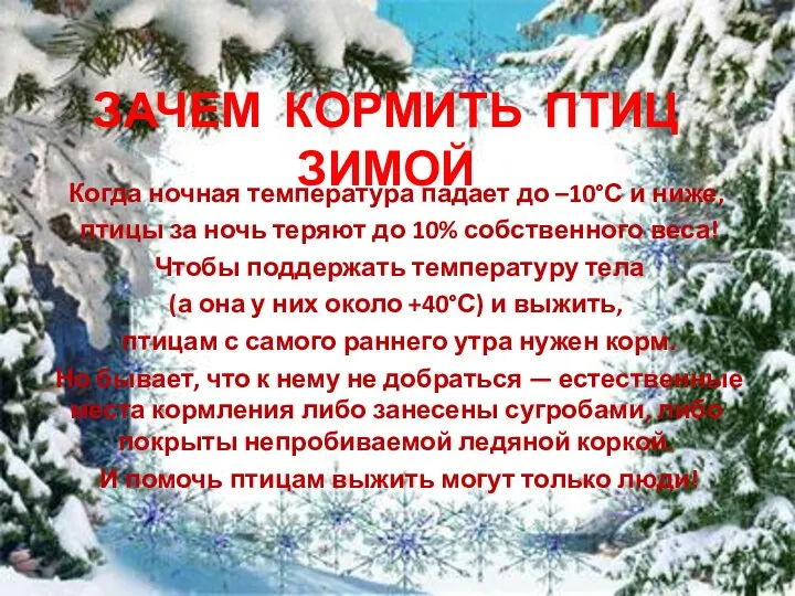 ЗАЧЕМ КОРМИТЬ ПТИЦ ЗИМОЙ Когда ночная температура падает до –10°С и ниже, птицы