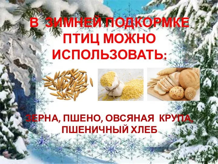 В ЗИМНЕЙ ПОДКОРМКЕ ПТИЦ МОЖНО ИСПОЛЬЗОВАТЬ: ЗЕРНА, ПШЕНО, ОВСЯНАЯ КРУПА, ПШЕНИЧНЫЙ ХЛЕБ