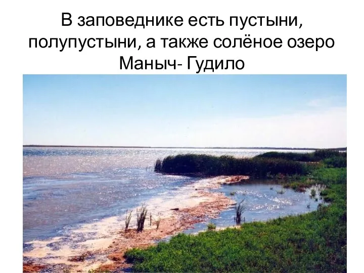 В заповеднике есть пустыни, полупустыни, а также солёное озеро Маныч- Гудило