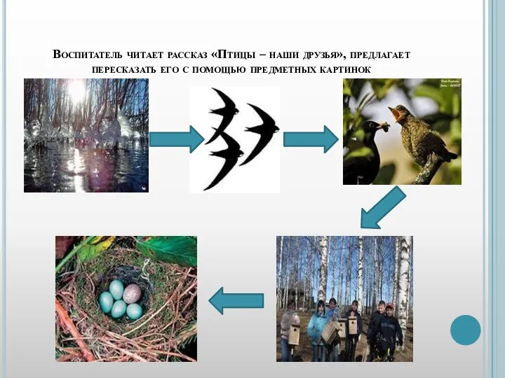 Воспитатель читает рассказ «Птицы – наши друзья», предлагает пересказать его с помощью предметных картинок