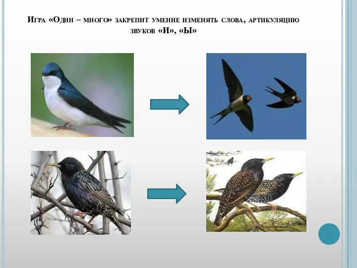 Игра «Один – много» закрепит умение изменять слова, артикуляцию звуков «И», «Ы»