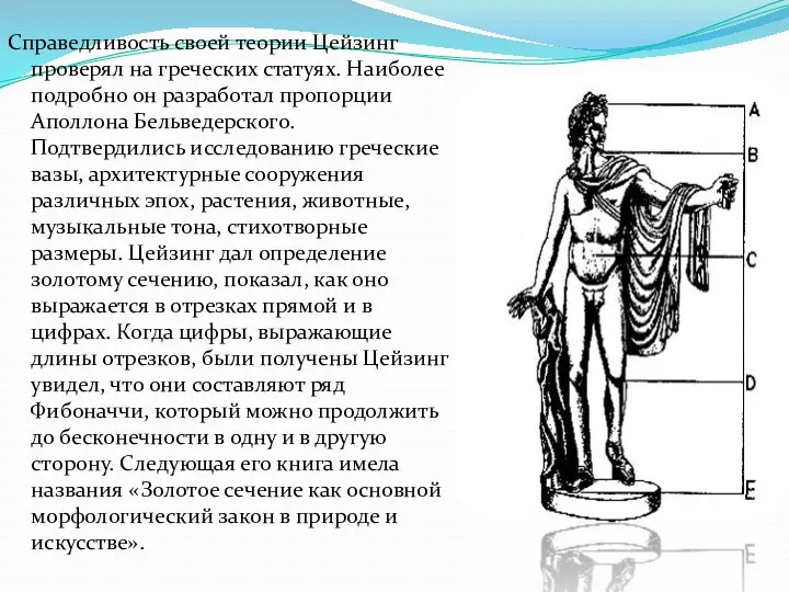 Справедливость своей теории Цейзинг проверял на греческих статуях. Наиболее подробно он разработал пропорции