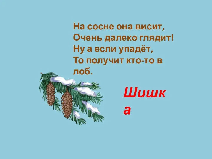 На сосне она висит, Очень далеко глядит! Ну а если