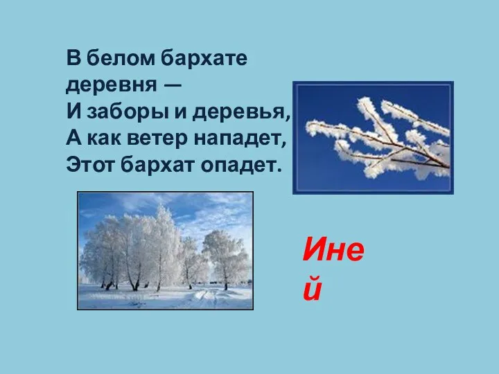 В белом бархате деревня — И заборы и деревья, А