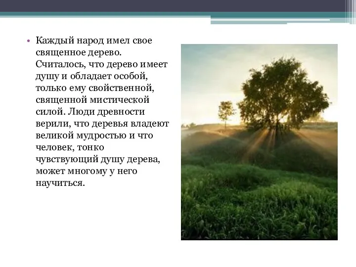 Каждый народ имел свое священное дерево. Считалось, что дерево имеет душу и обладает