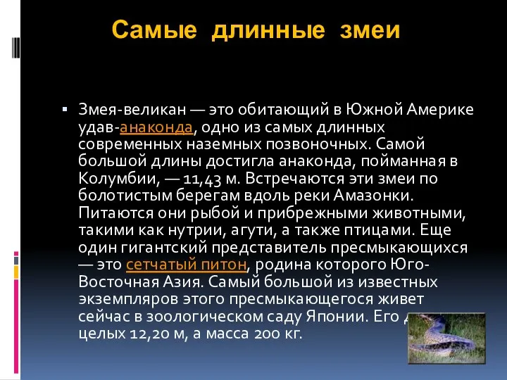 Самые длинные змеи Змея-великан — это обитающий в Южной Америке