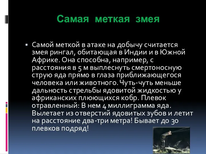 Самая меткая змея Самой меткой в атаке на добычу считается