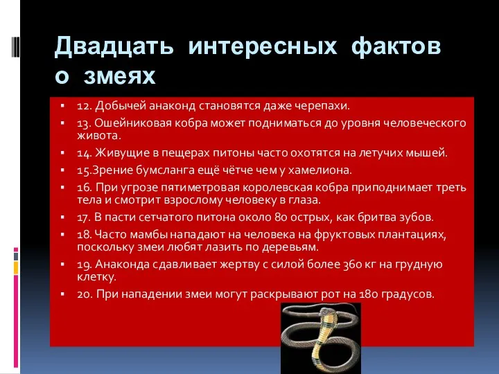 Двадцать интересных фактов о змеях 12. Добычей анаконд становятся даже