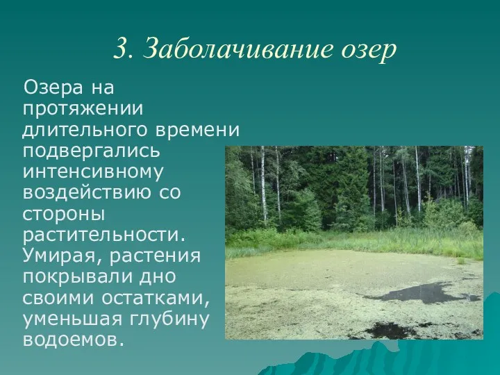 3. Заболачивание озер Озера на протяжении длительного времени подвергались интенсивному