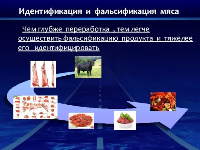 Идентификация и фальсификация мяса Чем глубже переработка , тем легче осуществить фальсификацию продукта