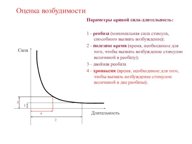 Оценка возбудимости Параметры кривой сила-длительность: 1 - реобаза (минимальная сила