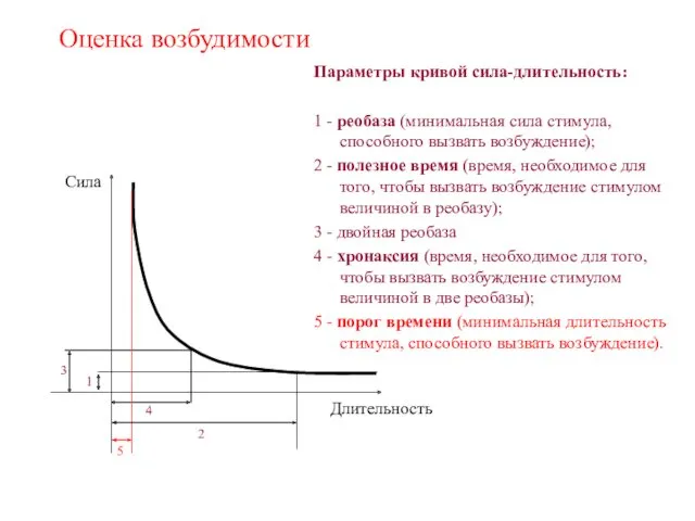 Оценка возбудимости Параметры кривой сила-длительность: 1 - реобаза (минимальная сила стимула, способного вызвать