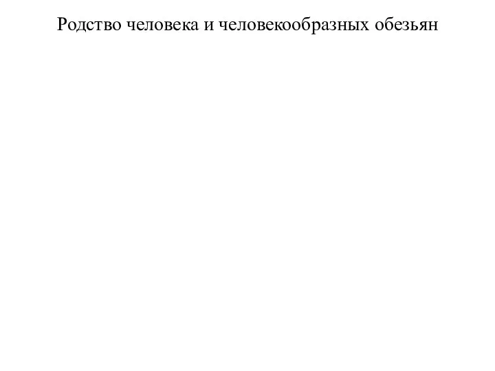 Родство человека и человекообразных обезьян