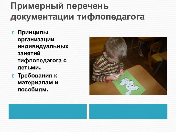 Примерный перечень документации тифлопедагога Принципы организации индивидуальных занятий тифлопедагога с детьми. Требования к материалам и пособиям.