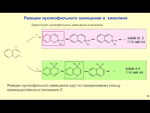 Реакции нуклеофильного замещения в хинолине Ориентация нуклеофильного замещения в хинолине Реакции нуклеофильного замещения