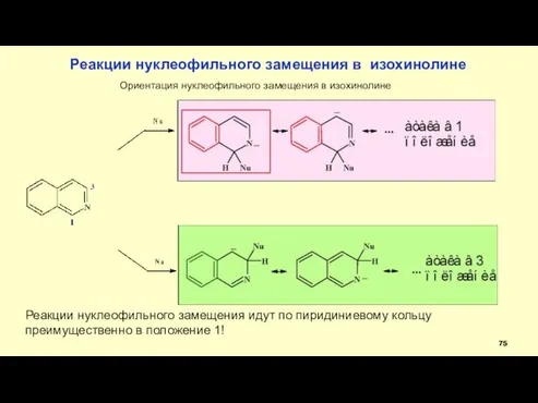 Реакции нуклеофильного замещения в изохинолине Ориентация нуклеофильного замещения в изохинолине Реакции нуклеофильного замещения