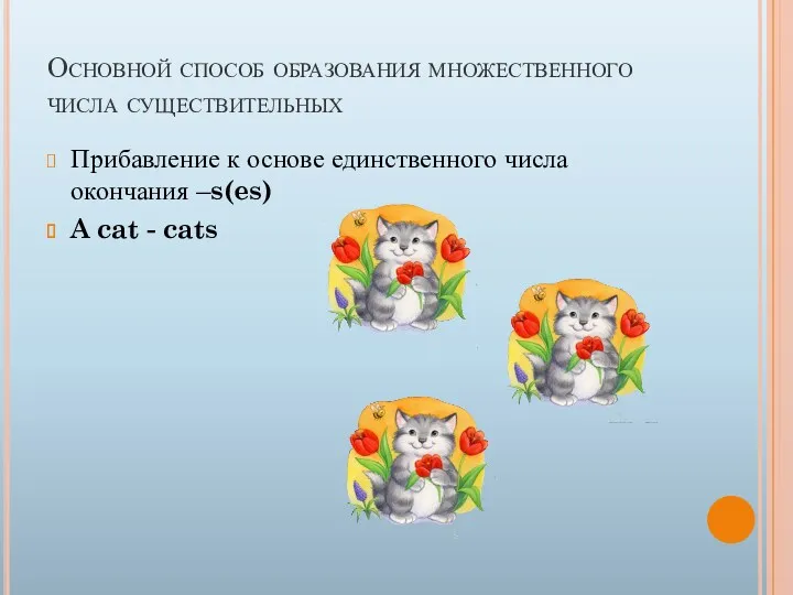 Основной способ образования множественного числа существительных Прибавление к основе единственного