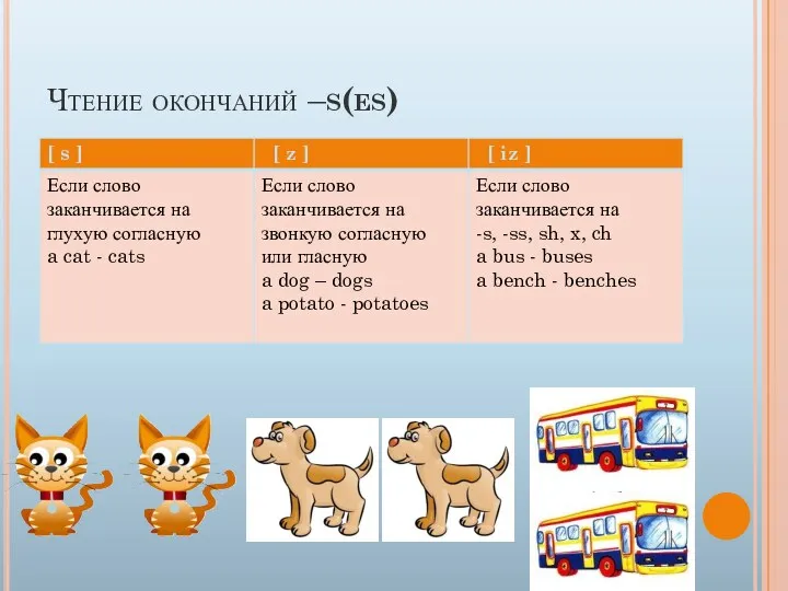 Чтение окончаний –s(es)