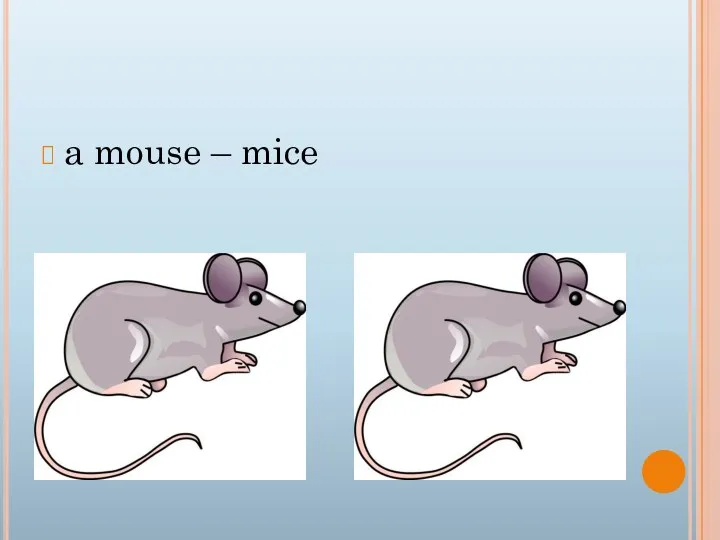 a mouse – mice