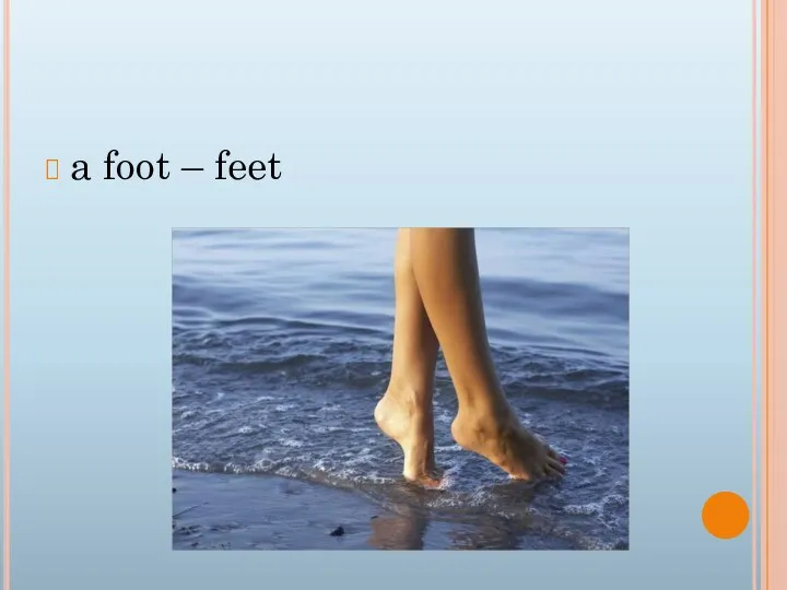 a foot – feet