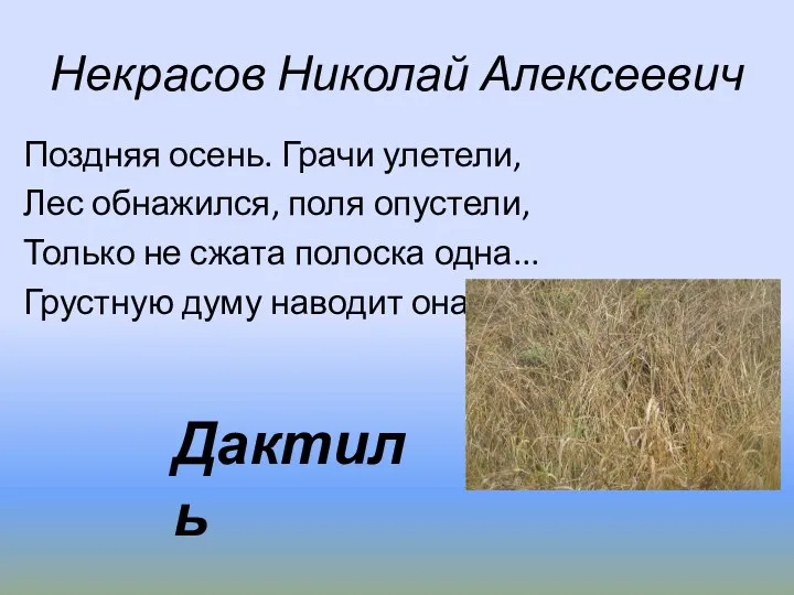 Некрасов Николай Алексеевич Поздняя осень. Грачи улетели, Лес обнажился, поля