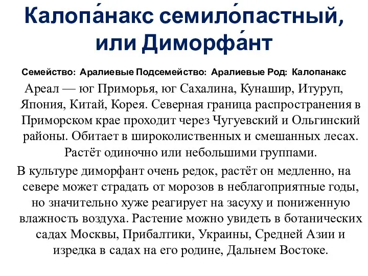 Калопа́накс семило́пастный, или Диморфа́нт Семейство: Аралиевые Подсемейство: Аралиевые Род: Калопанакс Ареал — юг