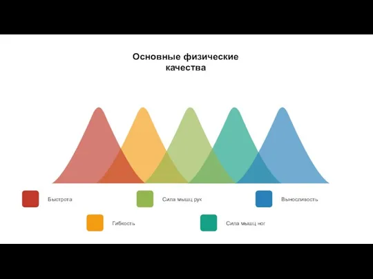 Основные физические качества Гибкость Быстрота Выносливость Сила мышц ног Сила мышц рук