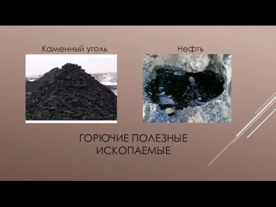 Горючие полезные ископаемые Каменный уголь Нефть