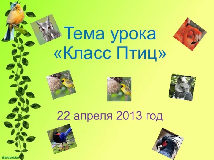 Тема урока «Класс Птиц» 22 апреля 2013 год