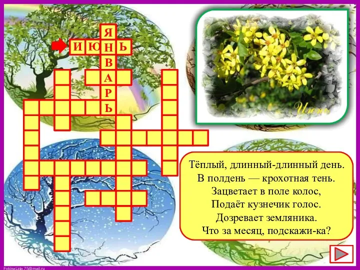 Тёплый, длинный-длинный день. В полдень — крохотная тень. Зацветает в