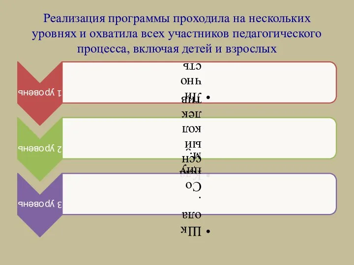 Реализация программы проходила на нескольких уровнях и охватила всех участников педагогического процесса, включая детей и взрослых