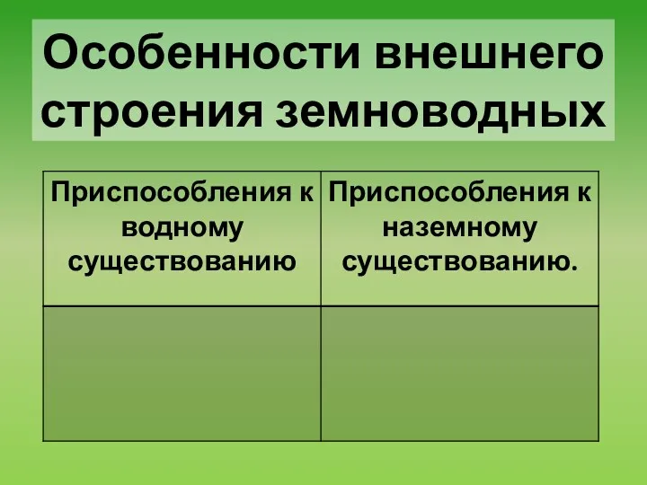 Особенности внешнего строения земноводных