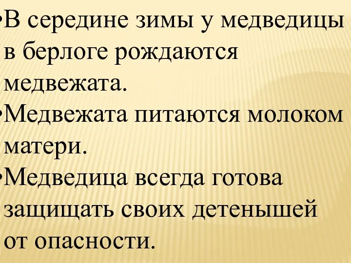 В середине зимы у медведицы в берлоге рождаются медвежата. Медвежата