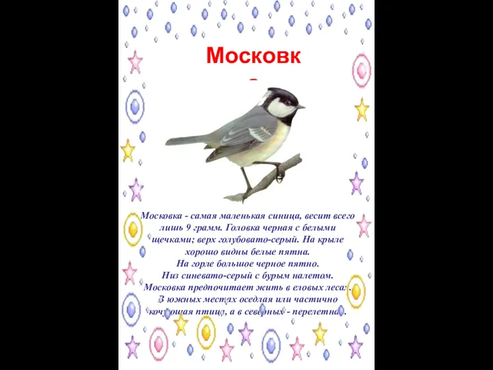 Московка Московка - самая маленькая синица, весит всего лишь 9 грамм. Головка черная