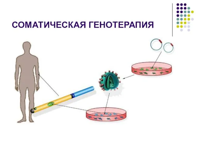 СОМАТИЧЕСКАЯ ГЕНОТЕРАПИЯ