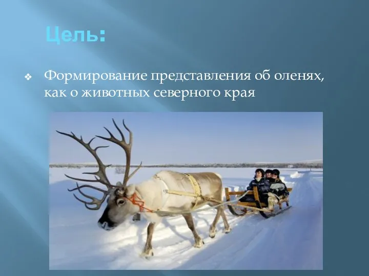 Цель: Формирование представления об оленях, как о животных северного края