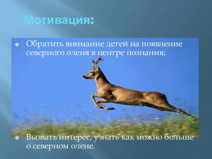 Мотивация: Обратить внимание детей на появление северного оленя в центре познания; Вызвать интерес,