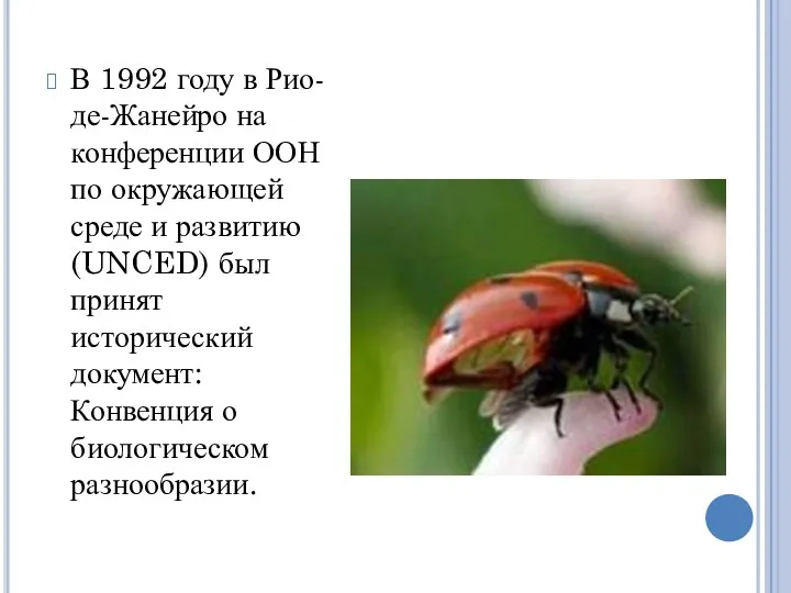 В 1992 году в Рио-де-Жанейро на конференции ООН по окружающей