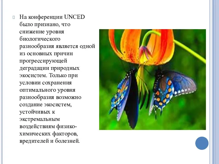 На конференции UNCED было признано, что снижение уровня биологического разнообразия