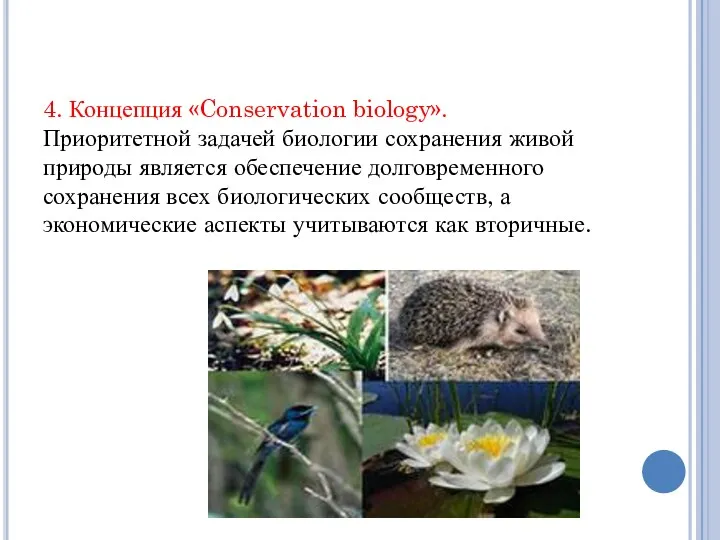 4. Концепция «Conservation biology». Приоритетной задачей биологии сохранения живой природы