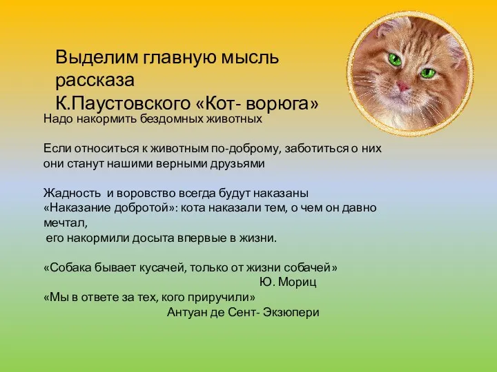 Выделим главную мысль рассказа К.Паустовского «Кот- ворюга» Надо накормить бездомных