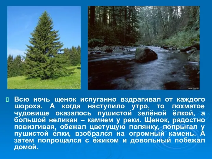 Всю ночь щенок испуганно вздрагивал от каждого шороха. А когда