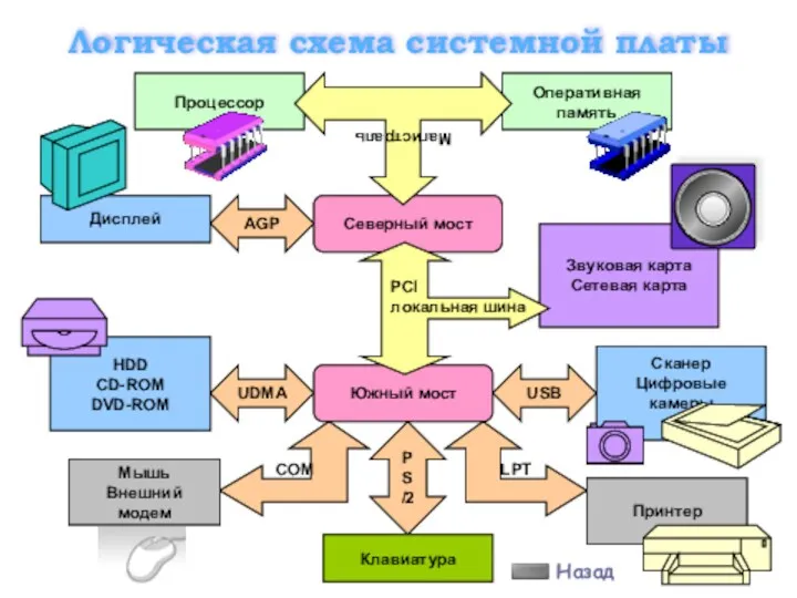 Логическая схема системной платы Процессор PS/2 Клавиатура AGP Звуковая карта