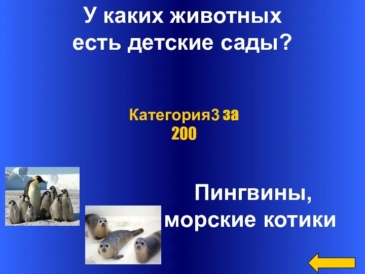 У каких животных есть детские сады? Пингвины, морские котики Категория3 за 200