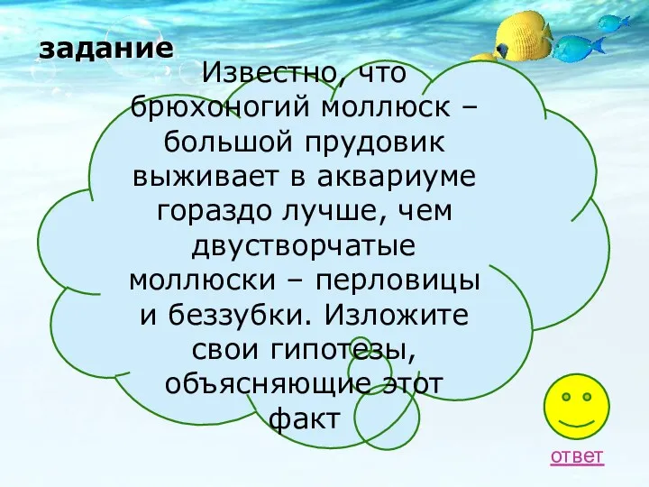 задание Известно, что брюхоногий моллюск – большой прудовик выживает в аквариуме гораздо лучше,