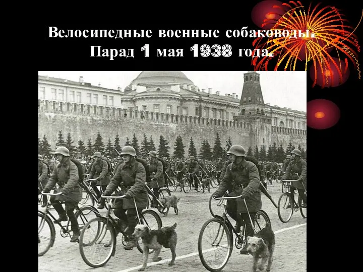 Велосипедные военные собаководы. Парад 1 мая 1938 года.