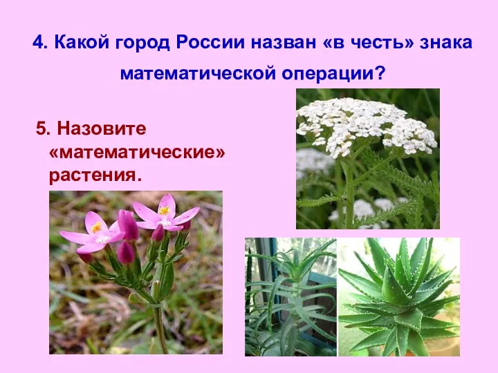 4. Какой город России назван «в честь» знака математической операции? 5. Назовите «математические» растения.