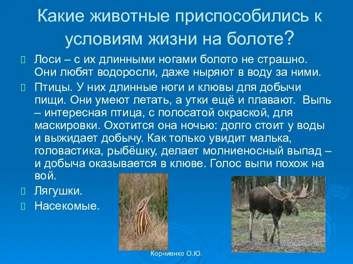Корниенко О.Ю. Какие животные приспособились к условиям жизни на болоте?
